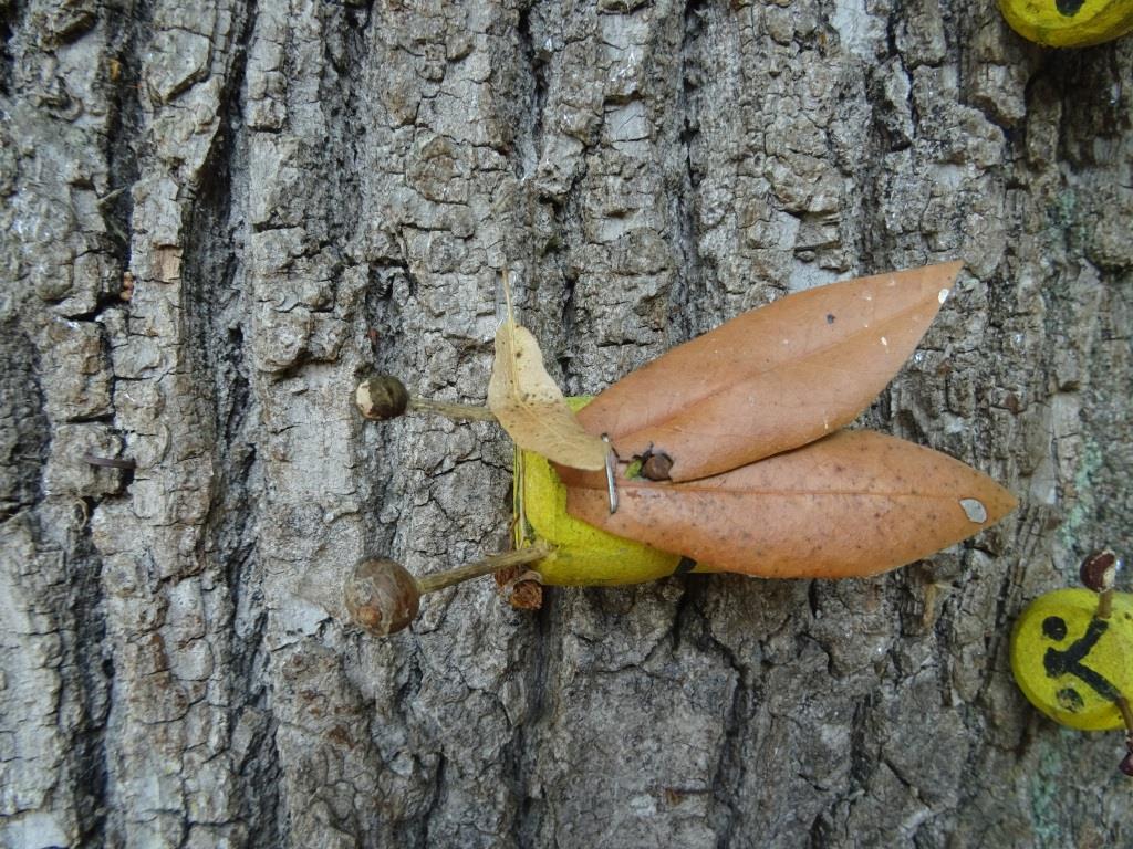 Sortie annuelle 2018